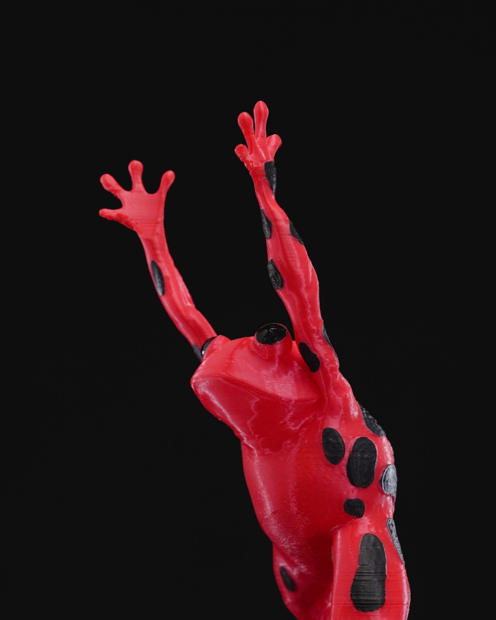 Frog Wine Holder 1 - Image 5