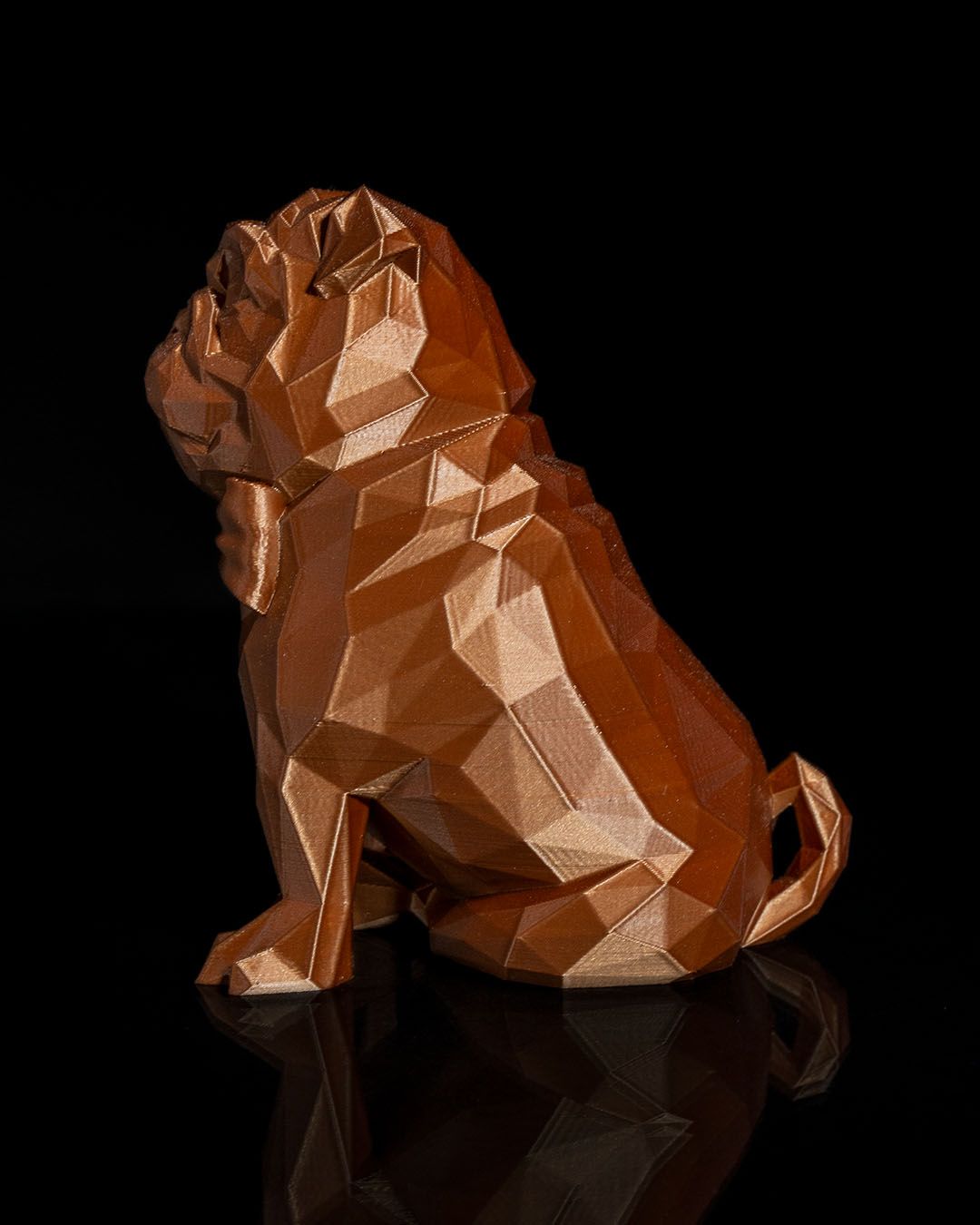 Frank, o Pug - Image 4