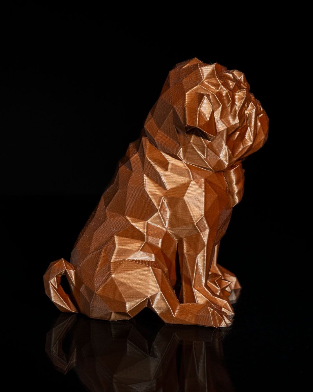 Frank, o Pug - Image 5