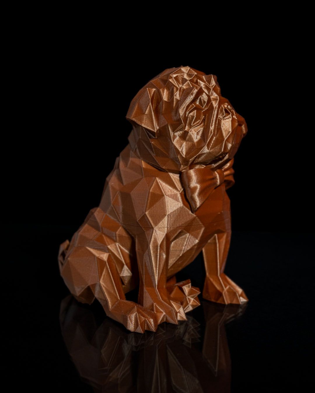 Frank, o Pug - Image 3