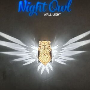 Night Owl Wall Light