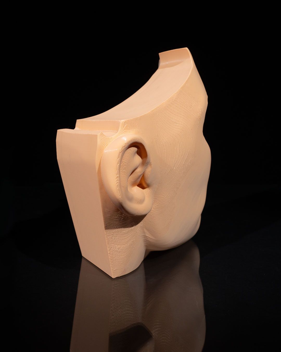 Nose and Sinus - Image 4