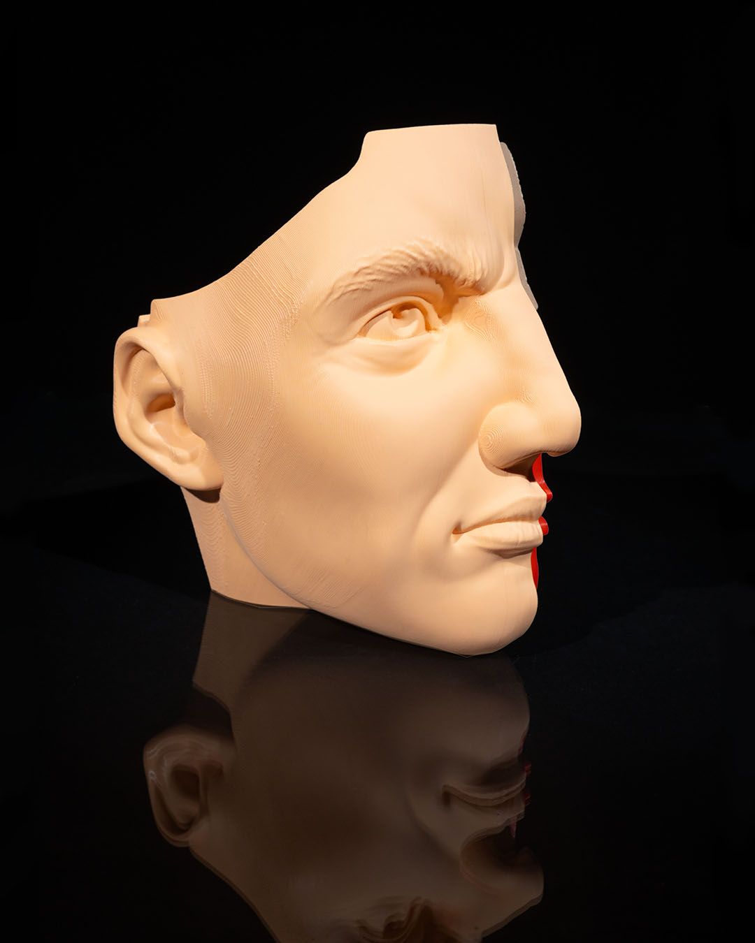 Nose and Sinus - Image 5