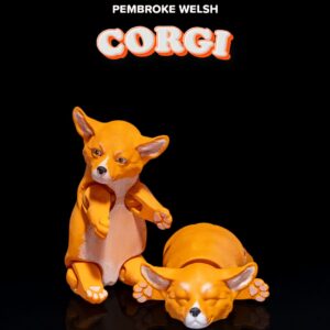 Pembroke Welsh Corgi