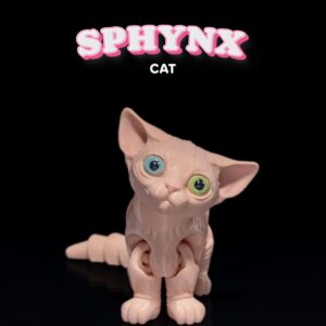 Sphynx Cat