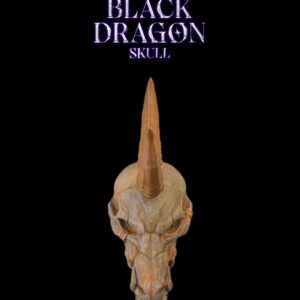 Black Dragon Skull