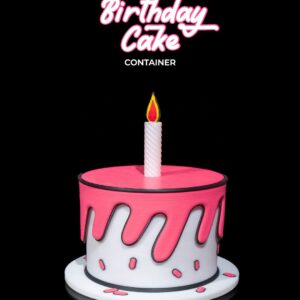Birthday Cake Container