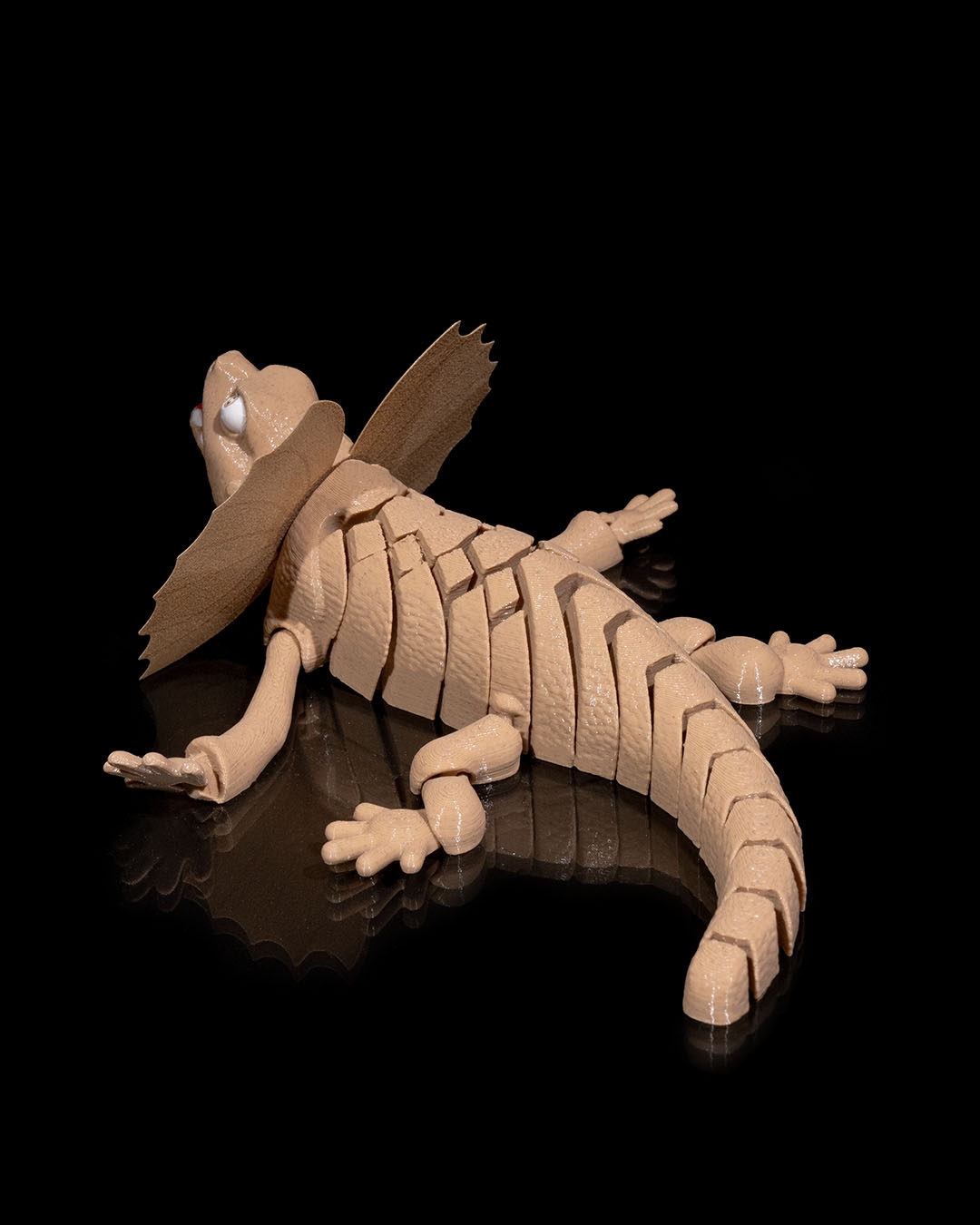 Lagarto Imperial - Image 5