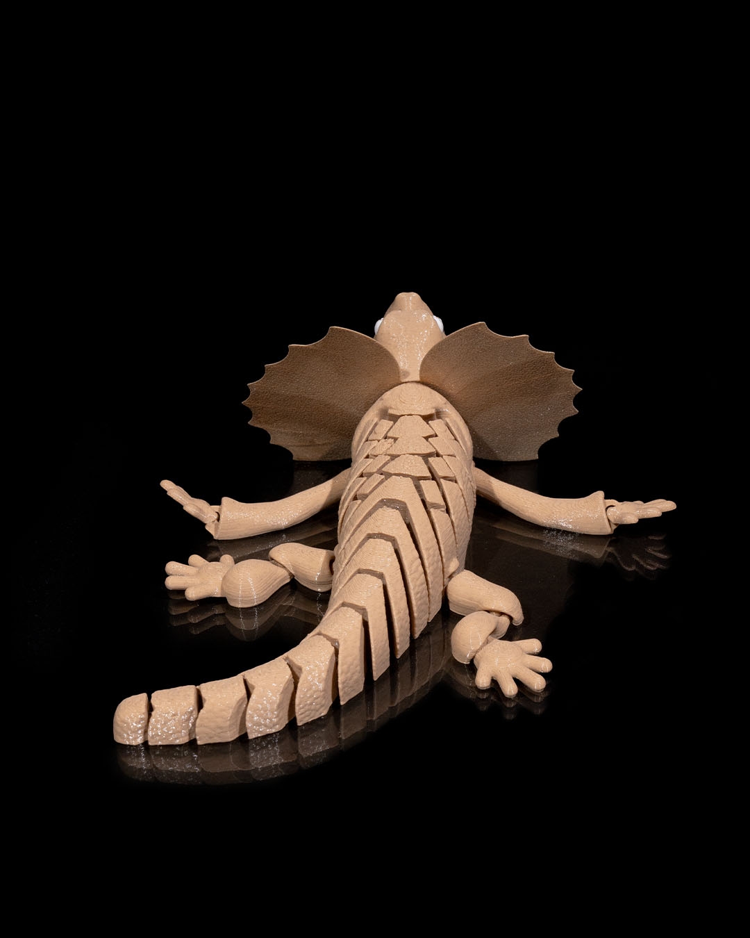 Lagarto Imperial - Image 6