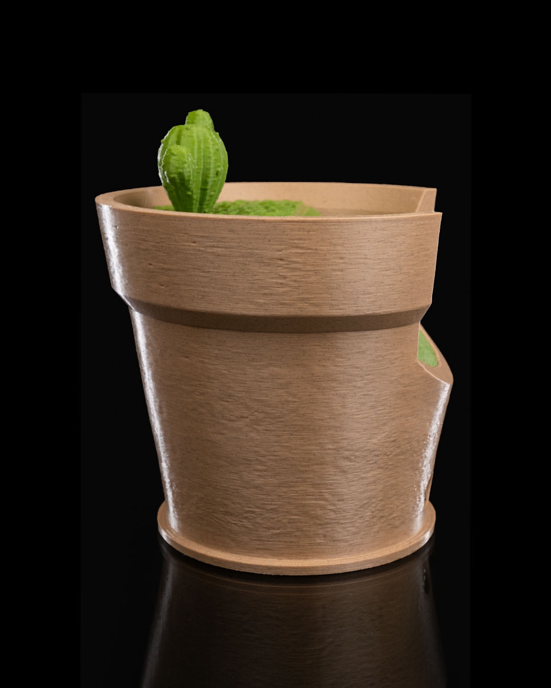 Cactus Vase Wall Light - Image 4