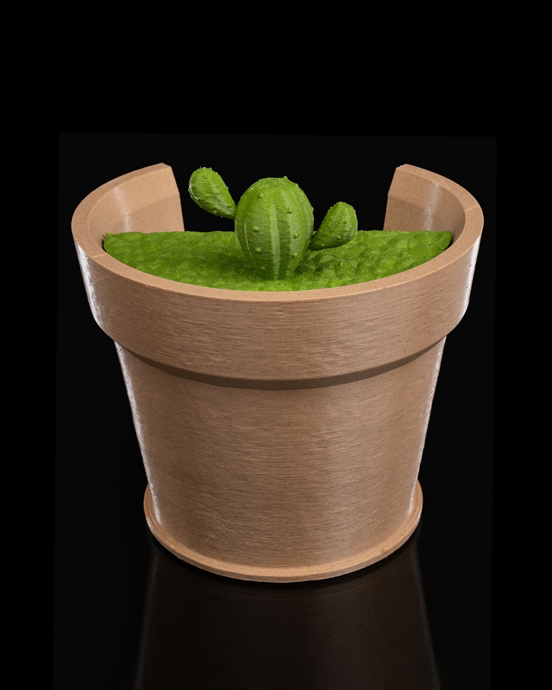 Cactus Vase Wall Light - Image 5