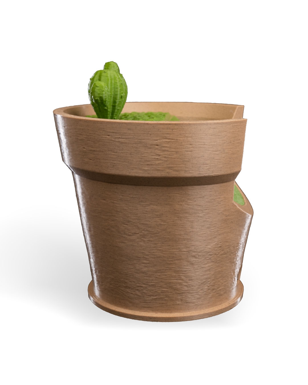 Cactus Vase Wall Light - Image 8