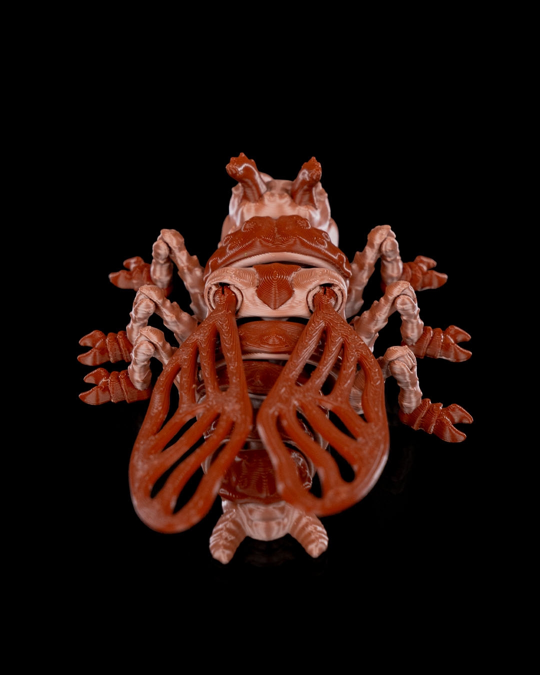 Barata Larry - Image 10