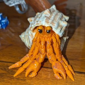 Articulated Hermes, the Hermit Crab