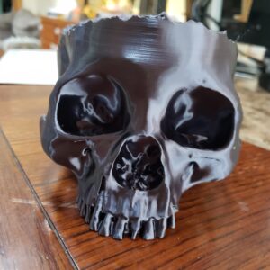 Skull Candy Dish