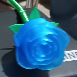 Flower - Anniversary Rose