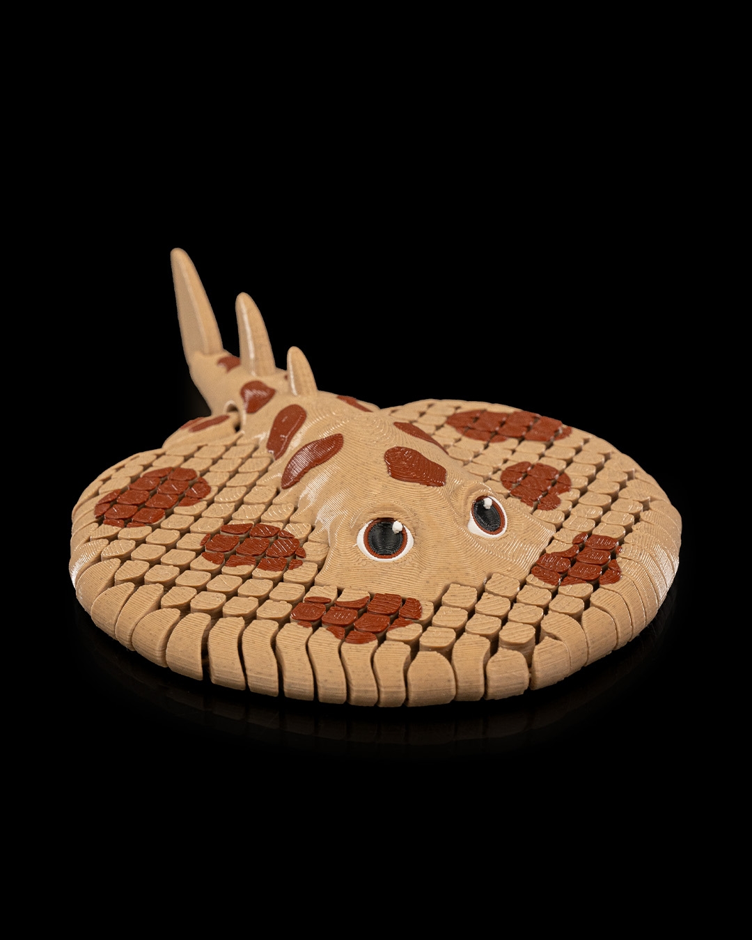 Lexi, the Electric Ray - Image 2