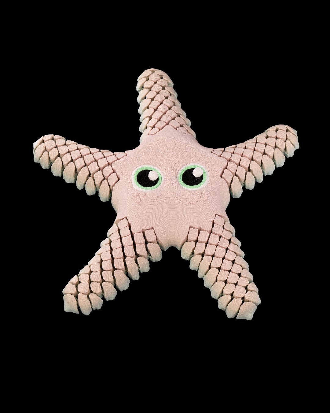 Sandy, the Sea Star - Image 2