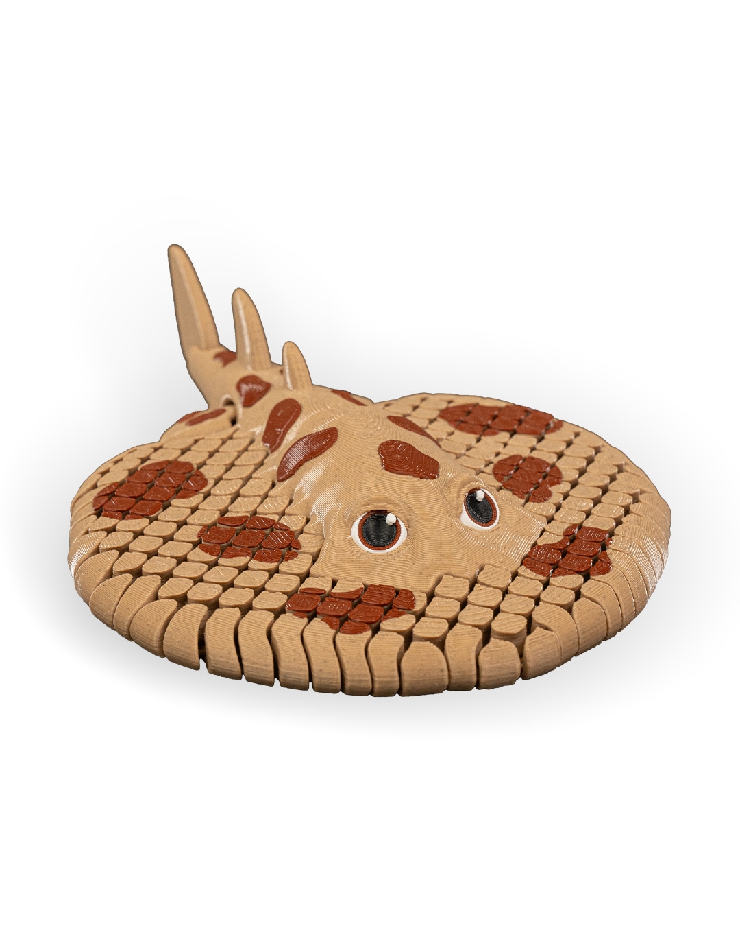 Lexi, the Electric Ray - Image 9