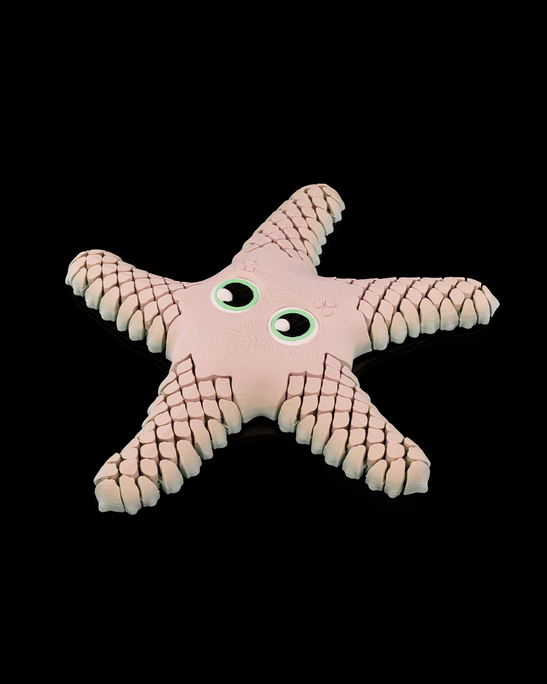 Sandy, the Sea Star - Image 6