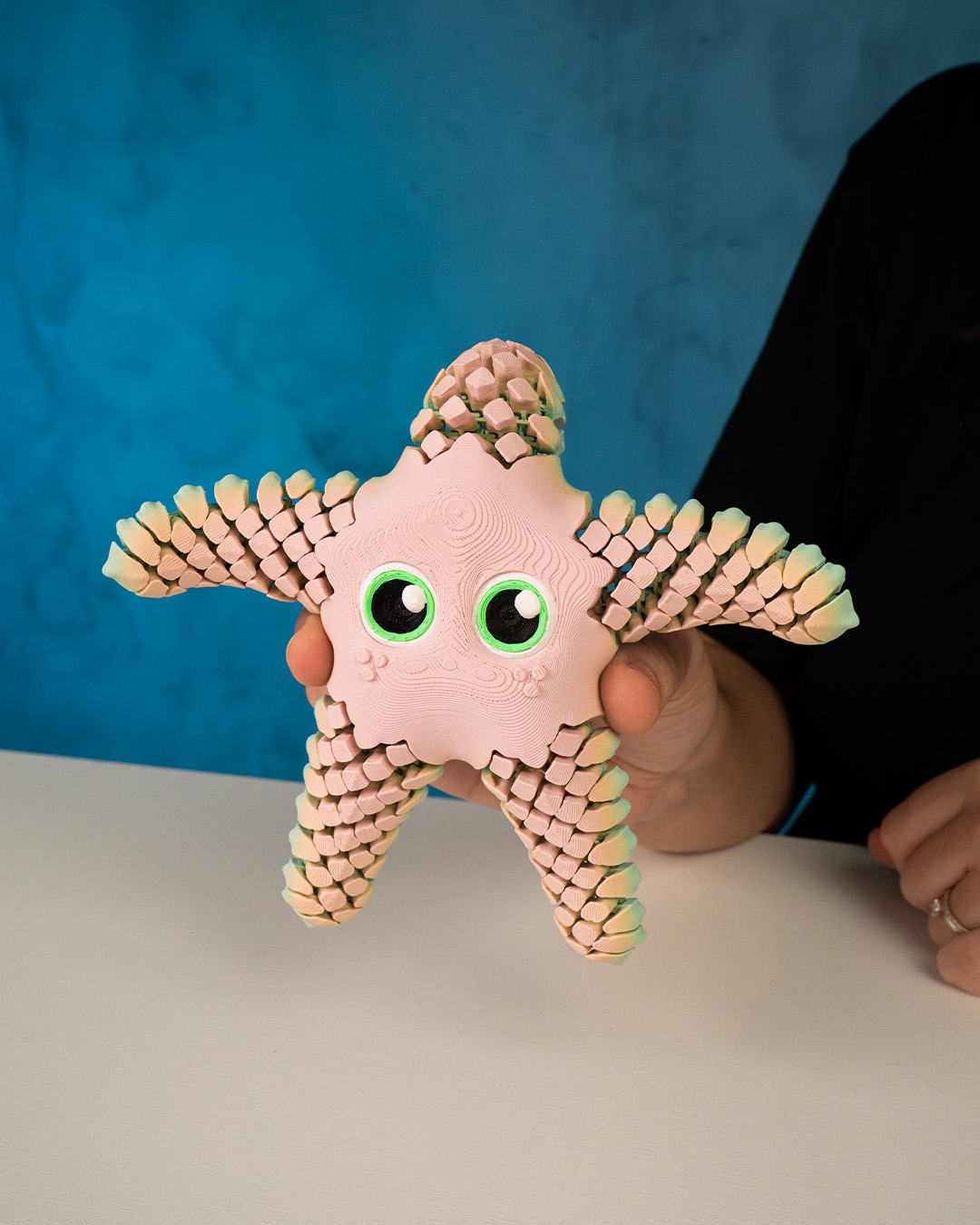 Sandy, the Sea Star - Image 3