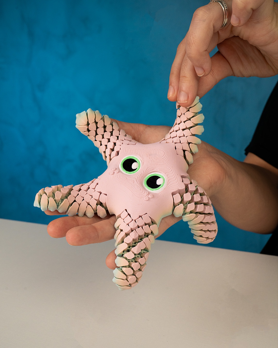 Sandy, the Sea Star - Image 4