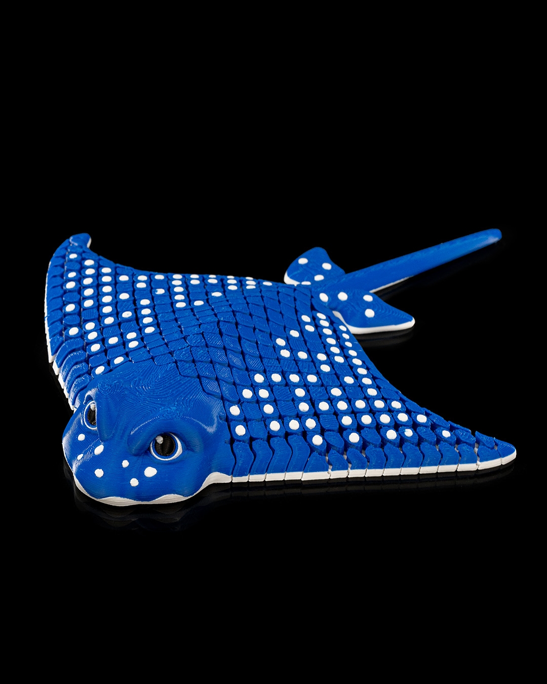 Igor, the Spotted Eagle Ray - Image 9