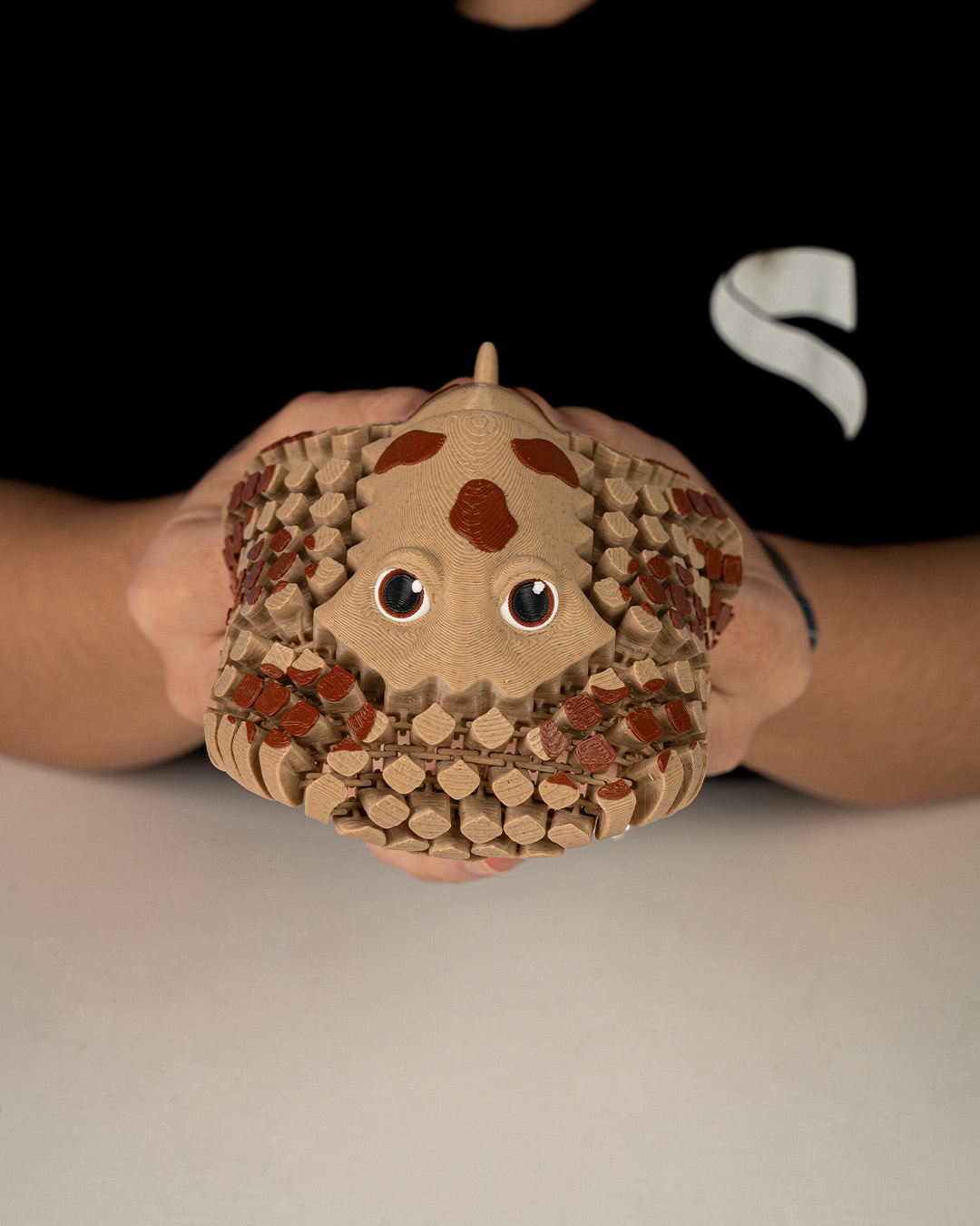 Lexi, the Electric Ray - Image 8