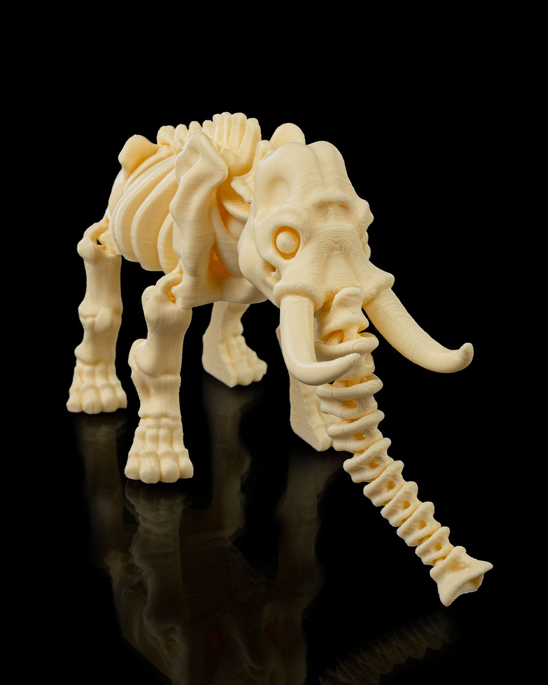 Skeleton Elephant - Image 2