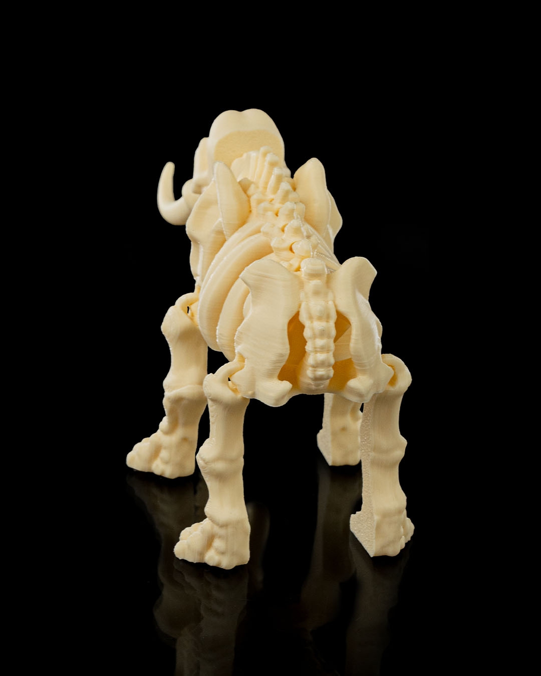 Skeleton Elephant - Image 5