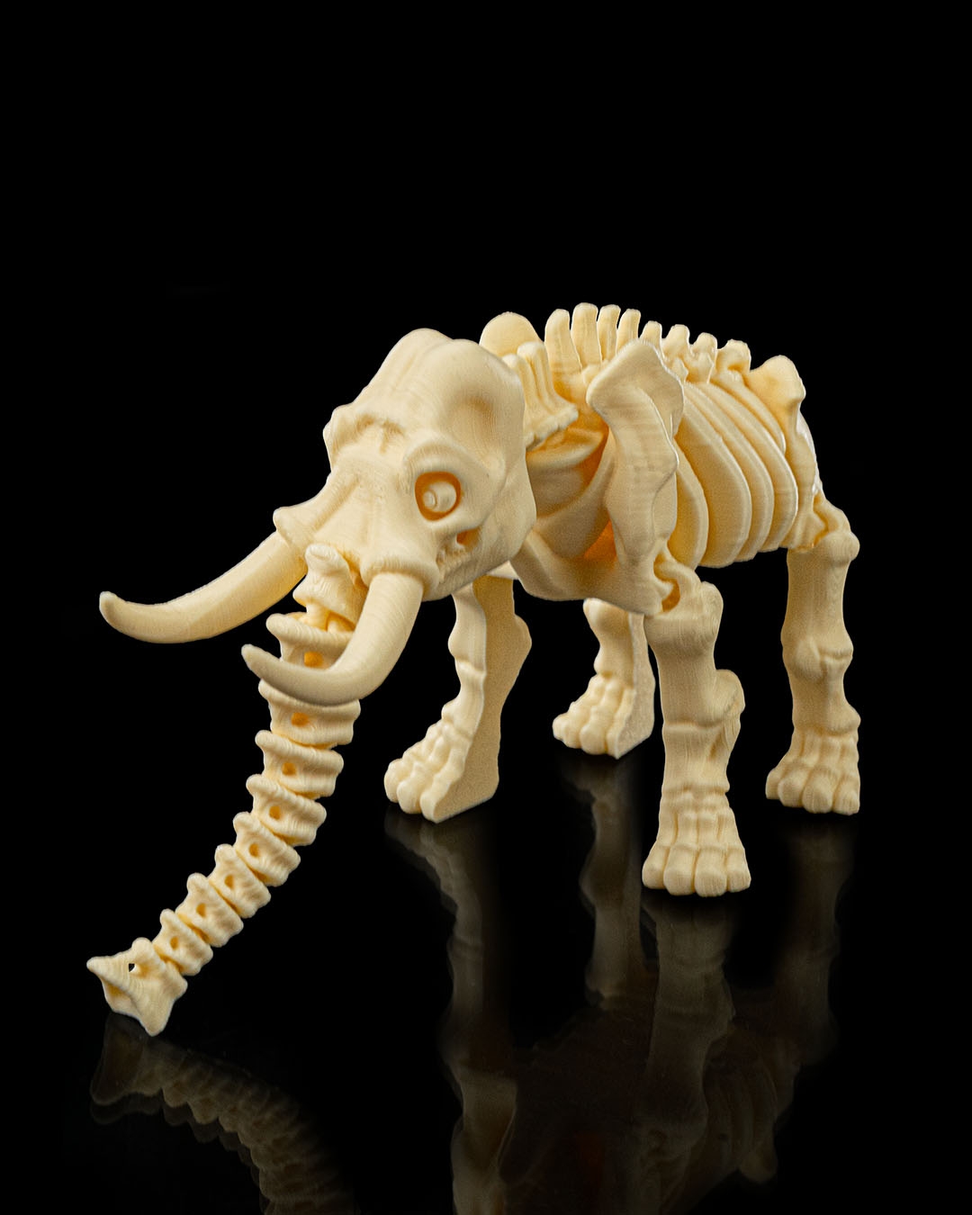 Skeleton Elephant - Image 6