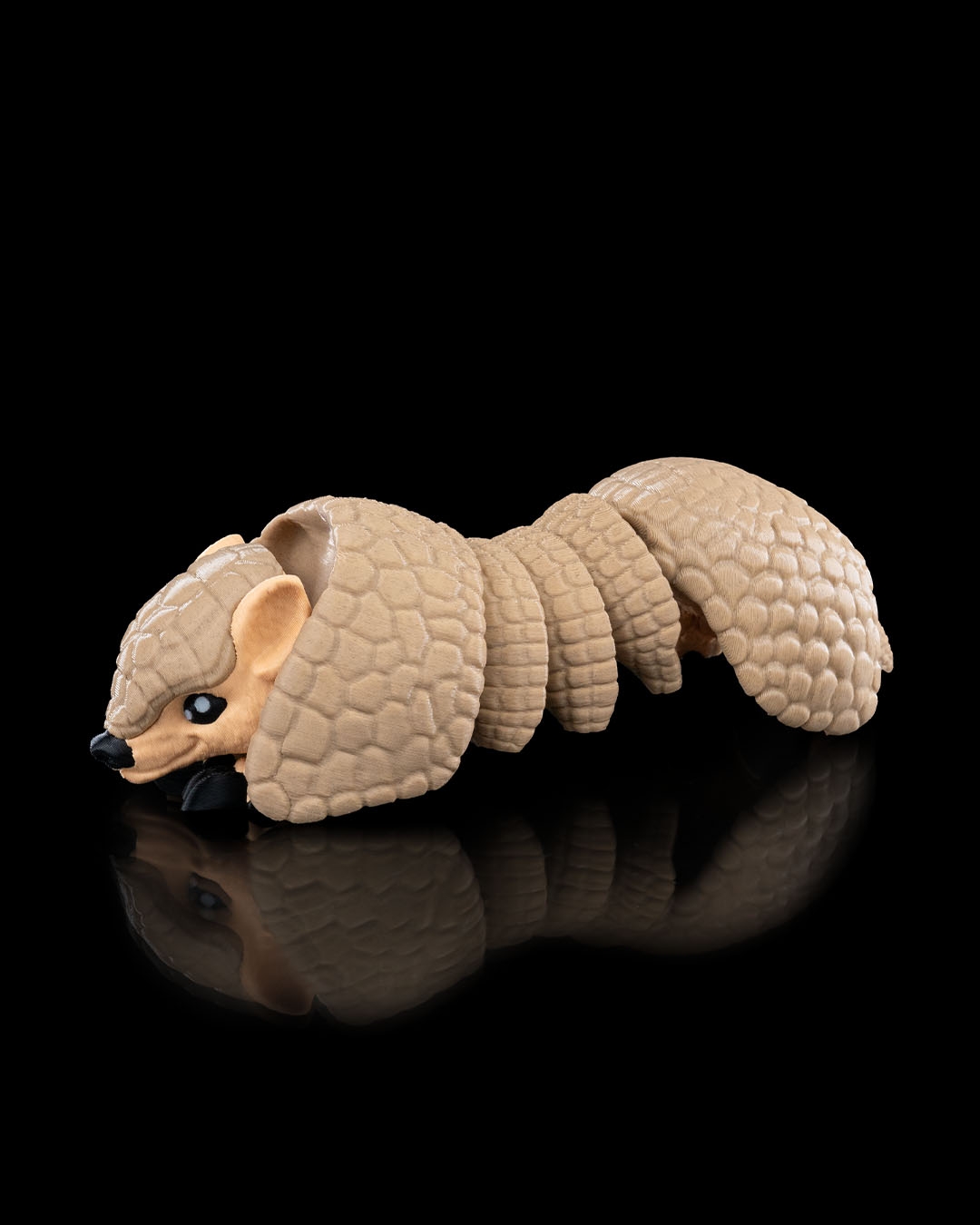 Armadillo - Image 2