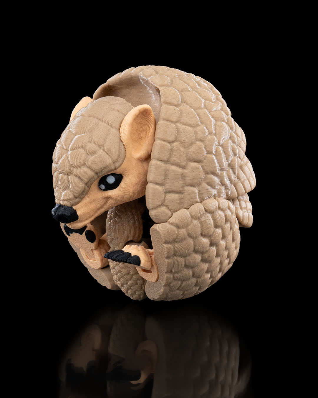 Armadillo - Image 7
