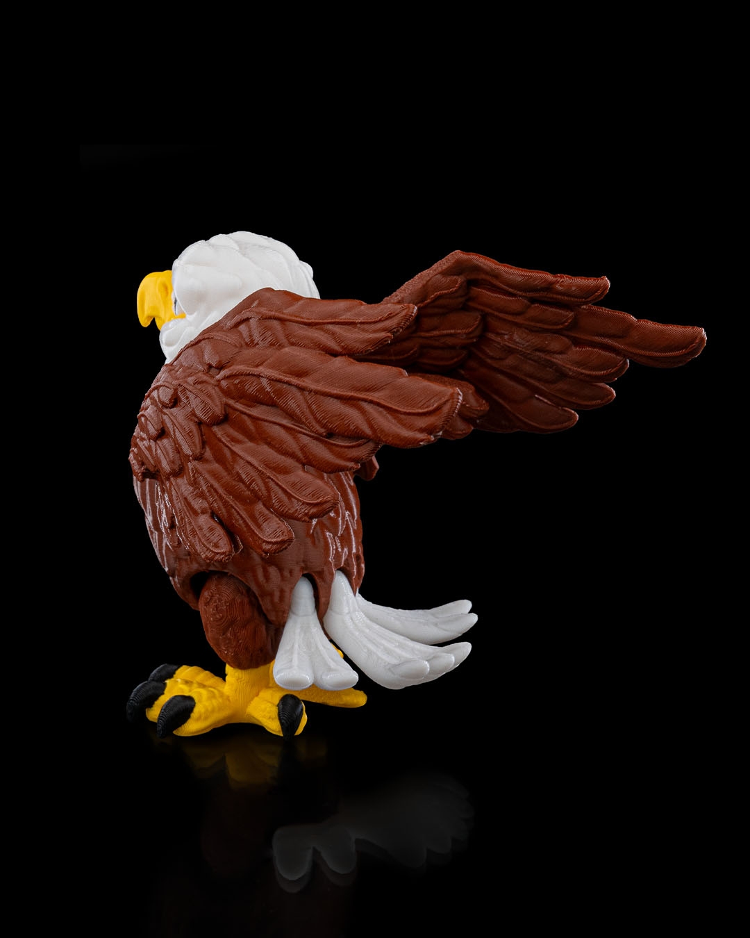 Bald Eagle - Image 5