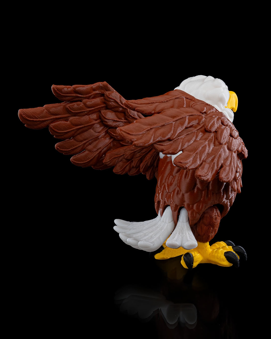 Bald Eagle - Image 7