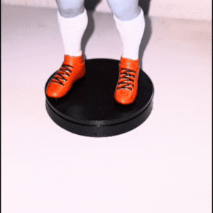 Mascote do Botafogo em 3D: Exclusividade Para Torcedores Alvinegros!