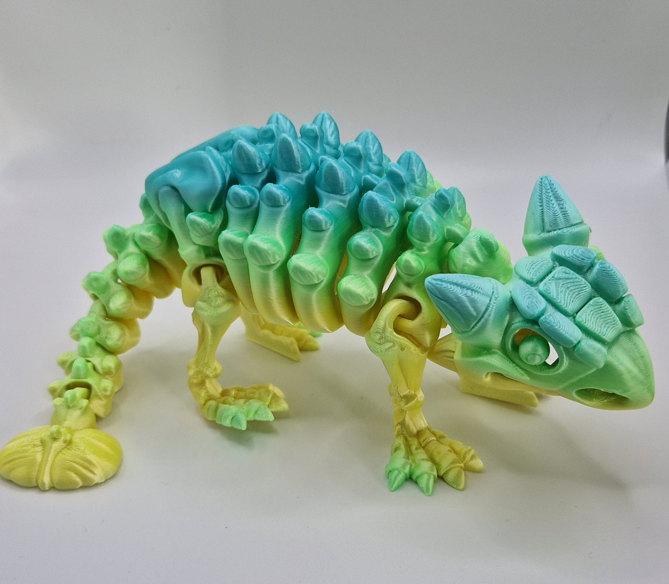 Ankylosaurus Skeleton