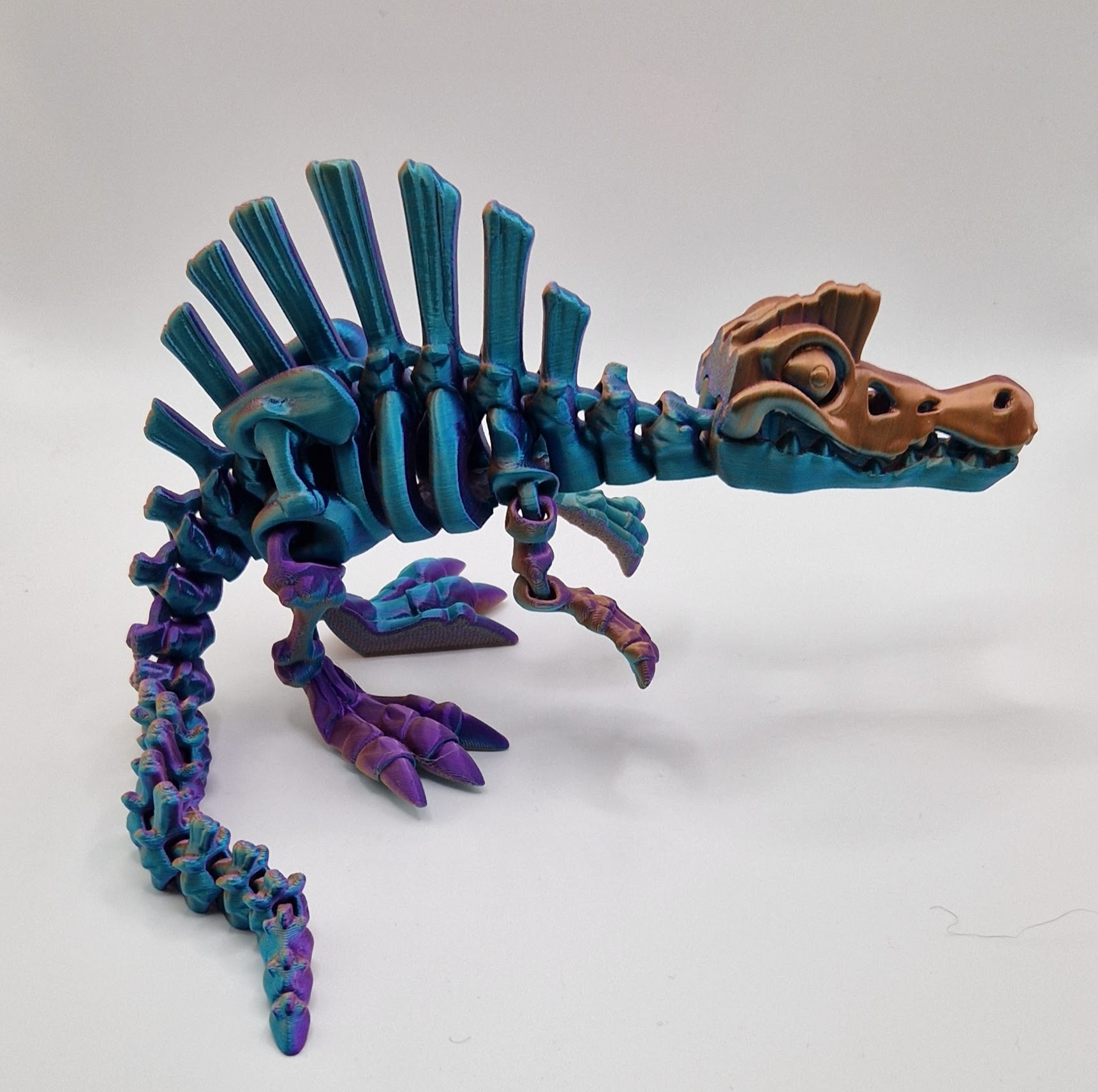 Spinosaurus Skeleton