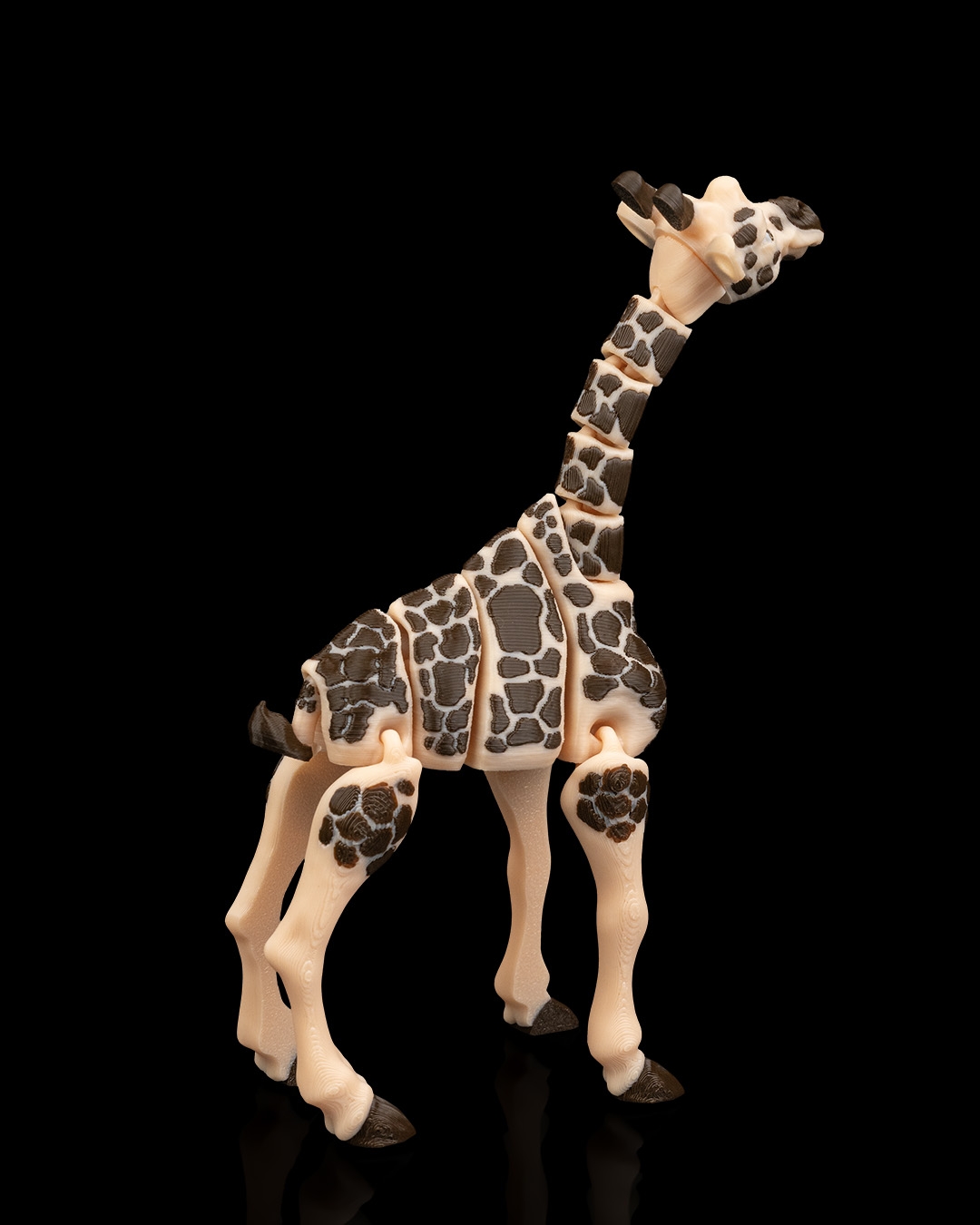 Giraffe - Image 5