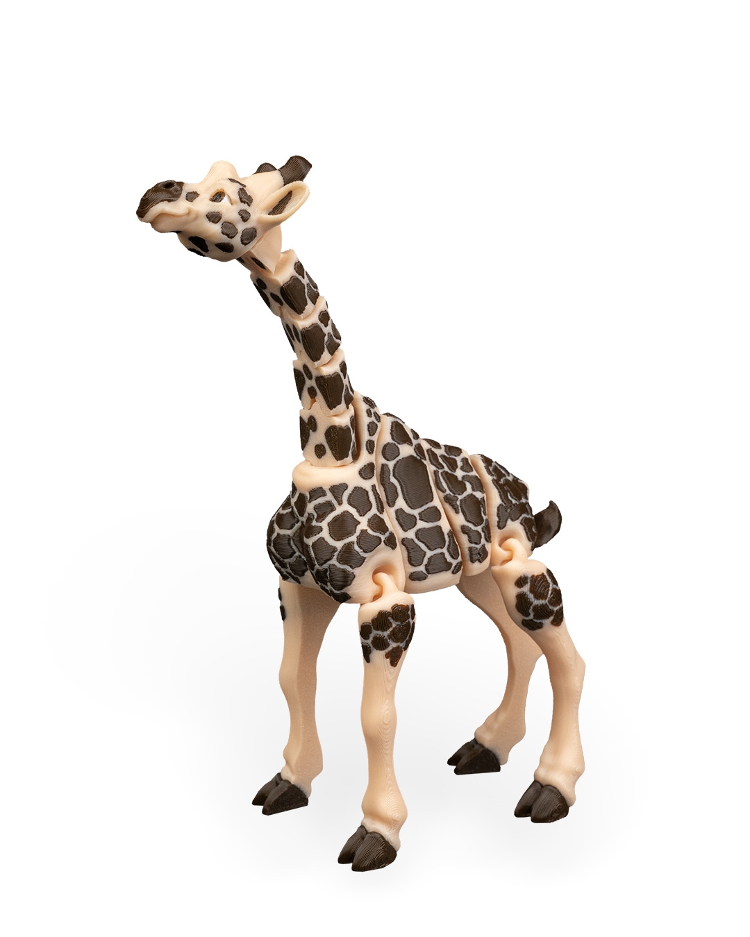 Giraffe - Image 8