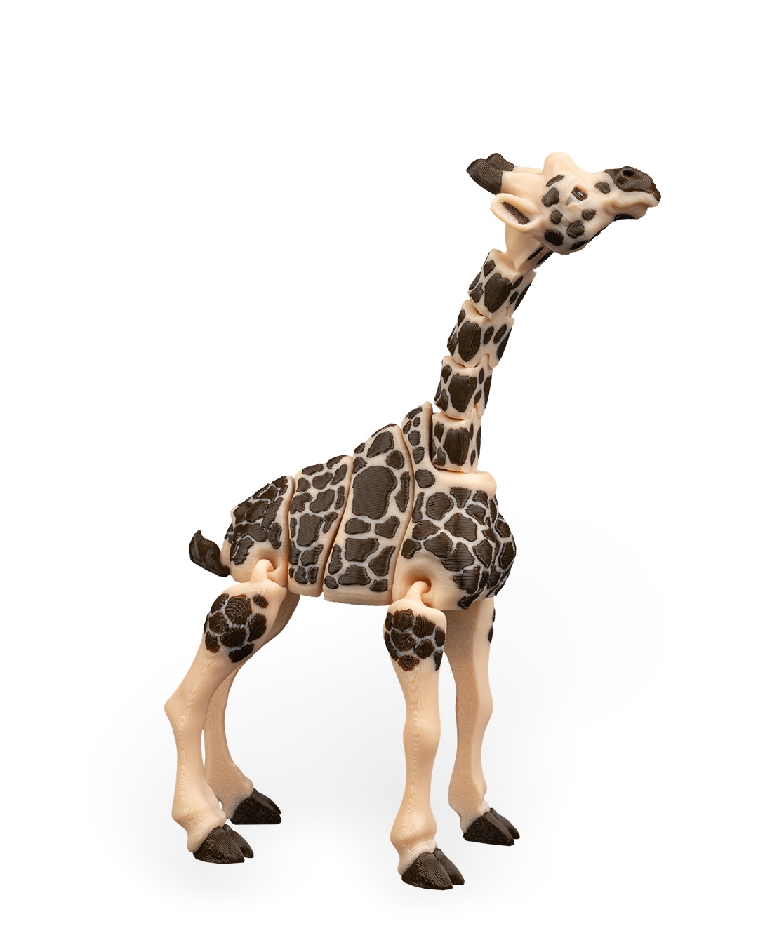 Giraffe - Image 9