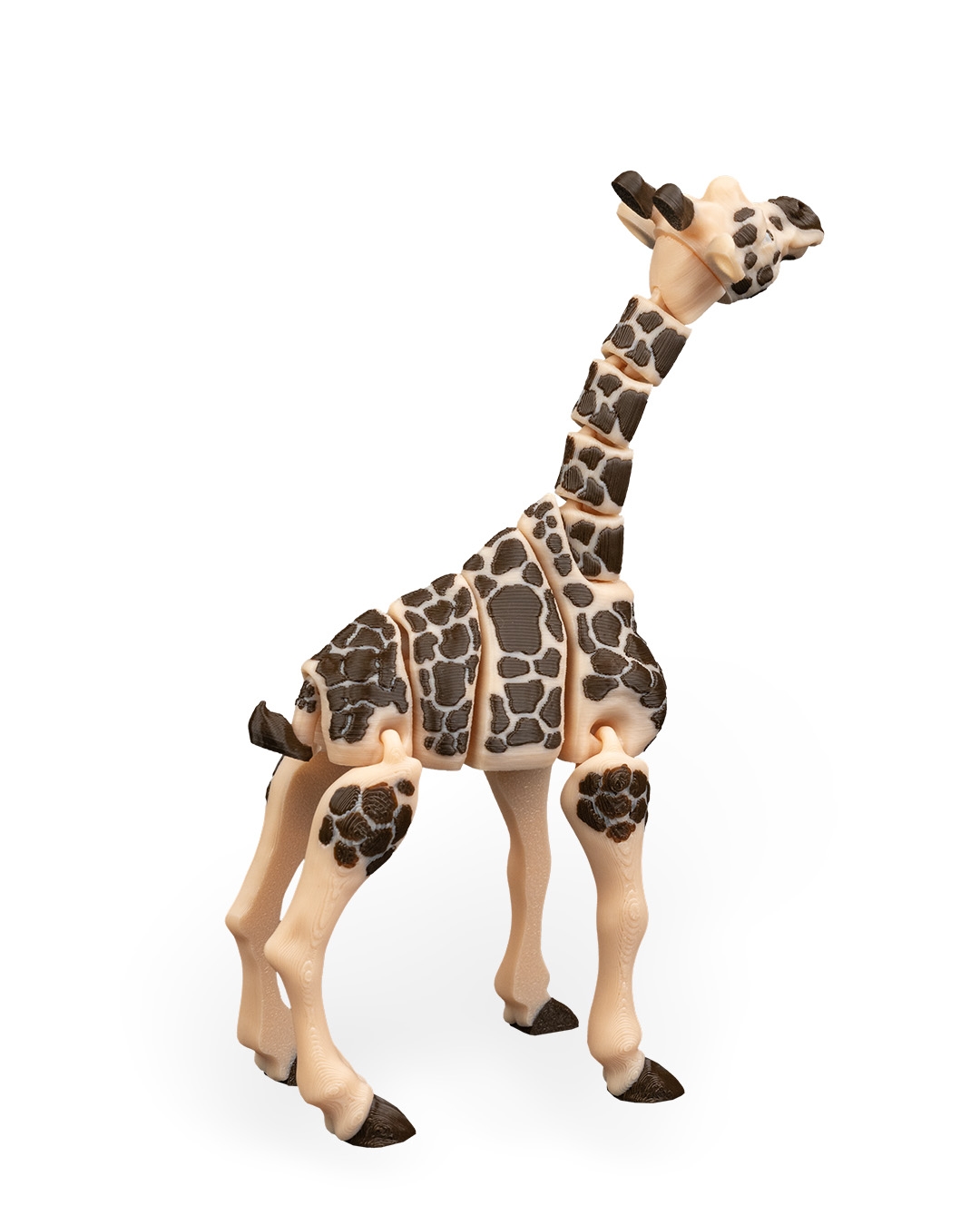 Giraffe - Image 10
