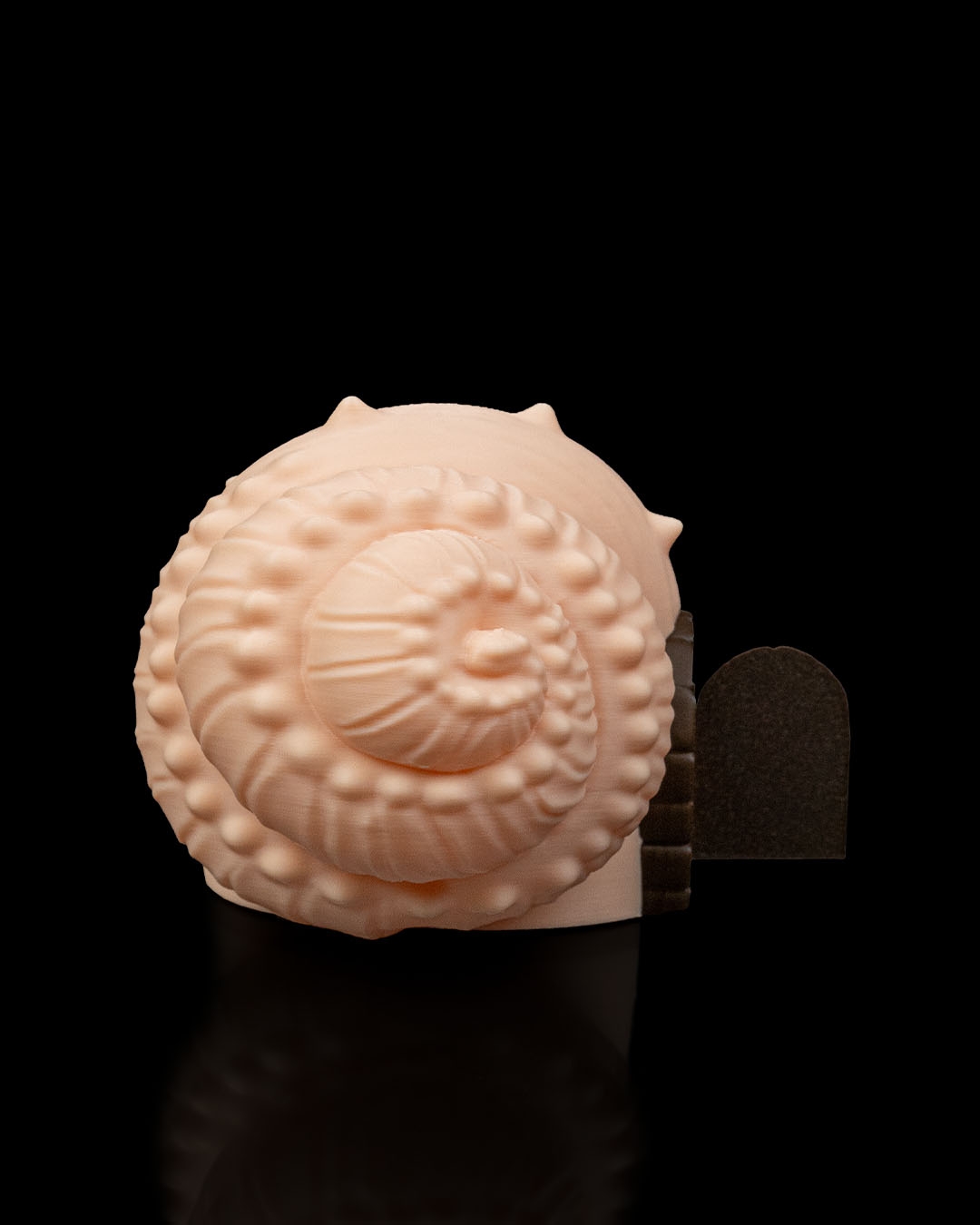 Seaside Haven - Image 5