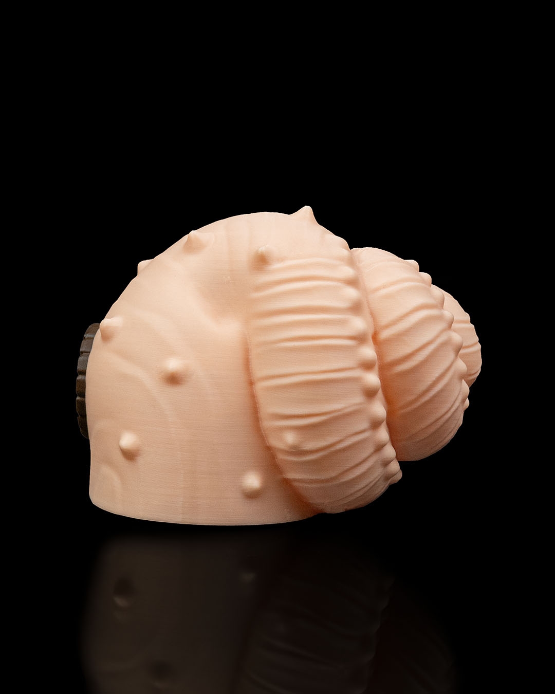 Seaside Haven - Image 6