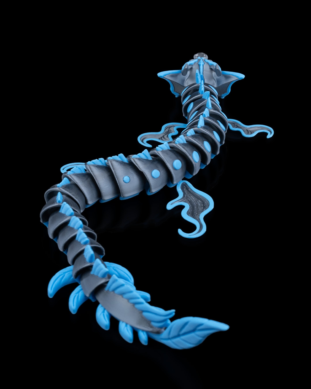 Sea Dragon - Image 4
