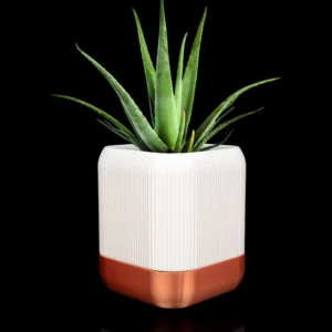 Vazo de plantas para interiores