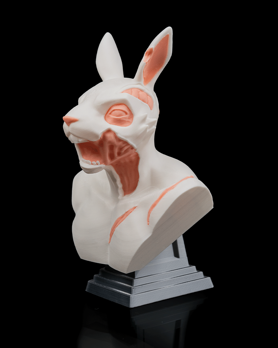 RotTail Bust - Image 3