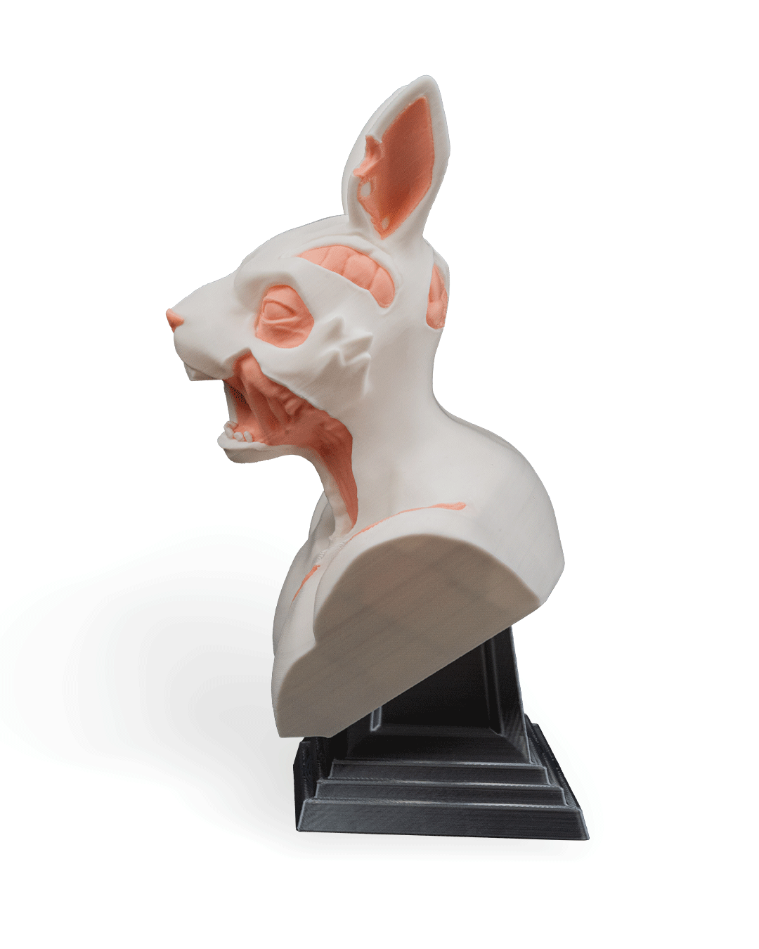 RotTail Bust - Image 9