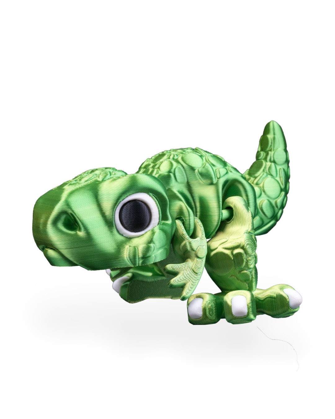 Allosaurus Flexi Dinosaur - Image 12