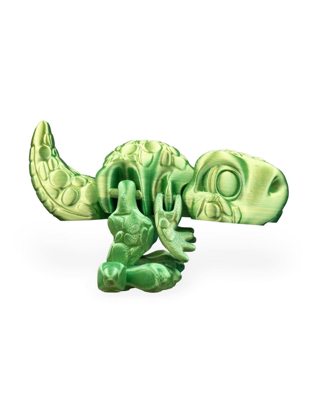 Allosaurus Flexi Dinosaur - Image 13